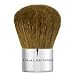 Bare Escentuals Full Coverage Kabuki Brush