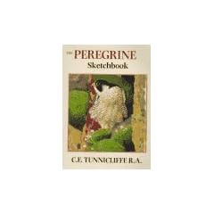 The Peregrine Sketchbook