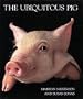 Ubiquitous Pig