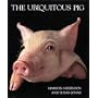 Ubiquitous Pig