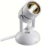 Good Earth Lighting G19920-WH-I Halogen Spot Light