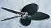Emerson Ceiling Fans CF2000PW Maui Bay Fan Pewter Outdoor Indoor Fan 52" w B50DO Blades