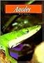 Anoles