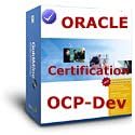 OCP - Oracle Developer Certification SOLUTION GUIDE (Our Solution Guide and material is better than Ten (10) Mock tests in exam simulators, With our Guide you will be prepared for your upcoming certification Exam, and will pass on your First attempt., Our Solution Guide and material are top quality and will assist you in gaining the Certification you deserve)