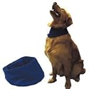 Cool It Dog Bandana, Medium Assorted Color