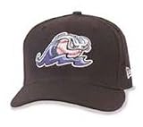 Minor League Baseball Cap - West Michigan Whitecaps Home Cap by New Era