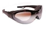 Birdz Eyewear Phoenix Motorcycle sunglasses goggles Prescription