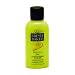 Fresh Baked Shampoo & Body Wash 2.5oz Key Lime Pie (Pack of 4)