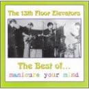 Best of the 13th Floor Elevators: Manicure Your Mind by 13th Floor Elevators