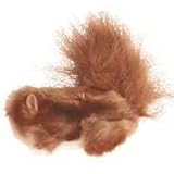 Dr. Noys Squirrel Cat Toy