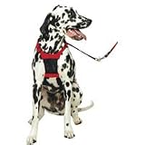 Non-Pulling Mesh Harness - Red - Medium - 12 to 17 in.