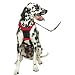 Non-Pulling Mesh Harness - Red - Medium - 12 to 17 in.