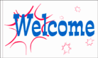 Welcome Flags
