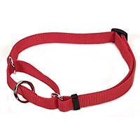 Coastal Pet No Slip Adjustable Nylon Dog Collar (Red, 10-14 Inch L x 5/8 Inch W)