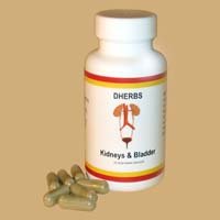 Click here to buy Kidneys and Bladder by DHERBS.