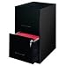 Home Office 2 Drawer Letter File Cabinet (Black) (24.5H x 14 1/4W x 18D)