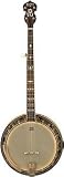 Washburn B120 Pro Banjo with Case