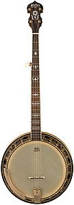Washburn B120 Pro Banjo with Case On Sale