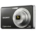 Sony Cybershot DSC-W190 12.1MP Digital Camera with 3x Super Steady Shot Stabilized Zoom and 2.7 inch LCD (Black)