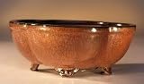 Bonsai Boy's Round Petal Shape - Glazed Aztec Orange<br>10.5x8.5x4.0
