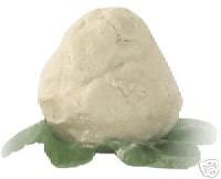 African Shea Butter Cream (100% Pure & White ) 16 Oz