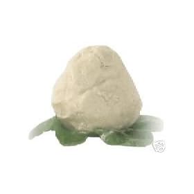 African Shea Butter Cream (100% Pure & White)