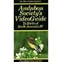 Birds of North America 4