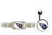 Tennessee Titans ProStarter Bracelet/Belly Ring Package