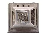 HP L1720A Projector Lamp for HP MP3220 Digital Projector