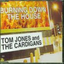 Burning Down The House