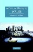 A Concise History of Wales (Cambridge Concise Histories)