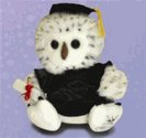 Shining Star Graduation Owl