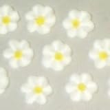 Gourmet Food : Small White Drop Flowers