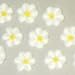 Gourmet Food : Small White Drop Flowers