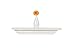 WELLAND 24 Inch x 3.25 Inch x 5.25 Inch Corona Crown Molding Wall Shelf White