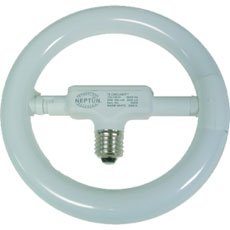 Neptun 30W 5000K Day Lumens 19830A-5K
