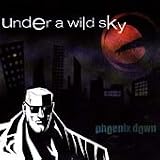 Under a Wild Sky