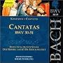 Bach: Cantatas, BWV 30-31