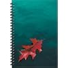 Red Oak Leaf Blank Writing Journal