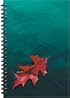 Red Oak Leaf Blank Writing Journal