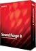Sony Sound Forge 8 With Noise Reduction 2.0