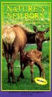 Nature's Newborn - Elk, Moose, Deer by Diamond Entertainment