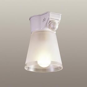 【クリックで詳細表示】TZGS-6099 小型白熱 2927l