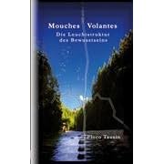 Mouches Volantes: Die Leuchtstruktur des Bewusstseins