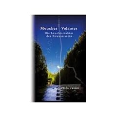 Mouches Volantes: Die Leuchtstruktur des Bewusstseins