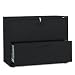 Office Products : HON582LP - 500 Series 36 Wide Two-Drawer Lateral File