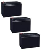 Schwinn 12 Volt 10 Ah Electric Scooter Batteries - Set of 3