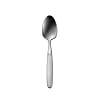 Oneida Paradox Teaspoon