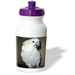 Birds - Umbrella Cockatoo - Water Bottles