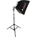 Photoflex FVXT1SLDKIT Small LiteDome Kit with Swivel and Stand